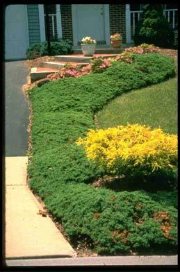 LANDSCAPING FOR THE ENVIRONMENT When caring for your lawn, it is important to be informed about the environmental consequences of your actions, as well as environmentally friendly alternatives to