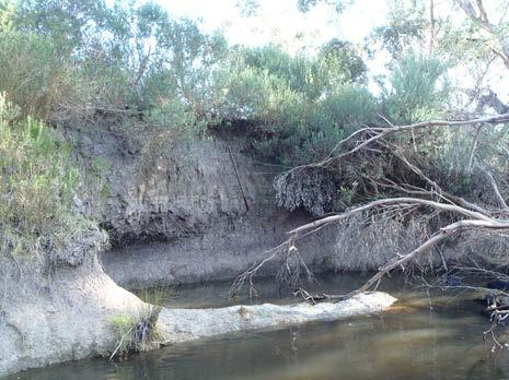 FLOWS determines environmental flow requirements in Victoria, Australia Complex & multi-disciplinary Client project manage
