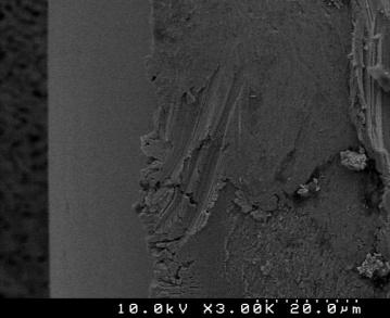 From the above-mentioned detailed observation of plastic deformation recognized on plated Sn-Cu film, some amount of plastic deformation and also contact force being held after insertion of the FPC