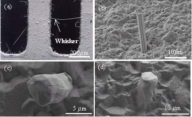 Structure and Kinetics of Sn Whisker Growth on Pb-free Solder Finish *W. J. Choi, T. Y Lee, and K. N. Tu Dept. of Materials Science and Engineering, UCLA, Los Angeles, CA 90095-1595 N. Tamura, R. S. Celestre, and A.