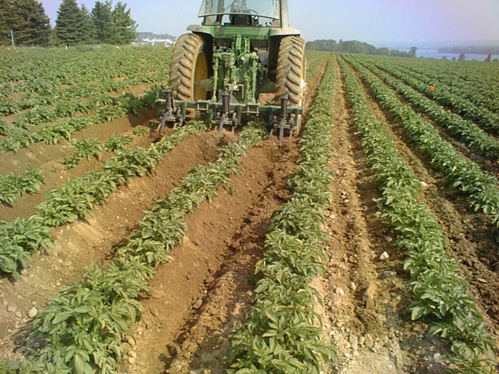 Agri-Food Some management considerations Effects of potato hilling on soil loss Potatoes are hilled: -