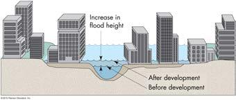 Effects of Urbanization - Impermeable Barriers Urbanization intensifies flooding due