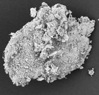 1 µm a 1 µm Fig. 2 - Morphology of powder cast iron swarf with no type of treatment: a) Individual particle, b) Structure of powder cast iron swarf (SEM).