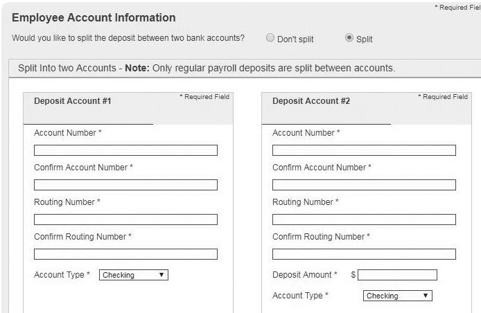 This is also where the subscriber can set up split accounts for employee deposits. Deposit Account #1. Primary account funds are deposited into.