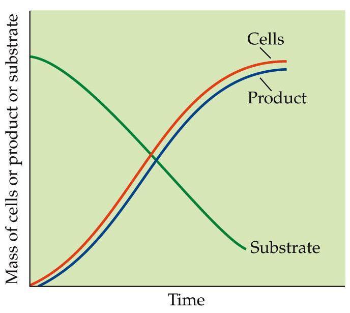 Primary metabolites and secondary Primary metabolites Products produced up to end of exponential phase of growth.