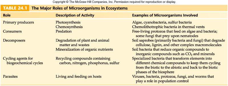 The roles, description of their activities, and types of microorganisms involved