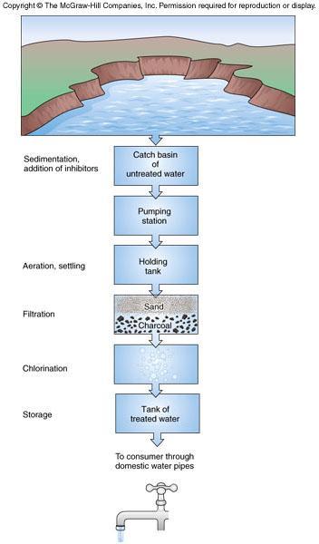 The steps involved in water treatment. Fig. 24.