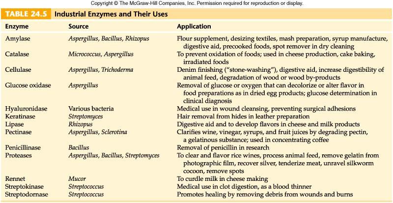 Examples of industrial enzymes produced by