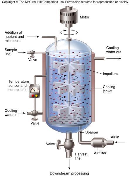 An example of an industrial fermentor used for mass culture of
