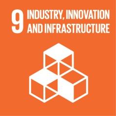 Build resilient infrastructure, promote inclusive and sustainable industrialization and foster innovation Target 9.