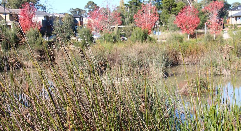 There is an understanding, at this stage, between Melbourne Water and the land developer that nothing is locked-in and that some changes to size and location of the wetland, and possibly some of the
