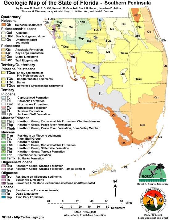 The Geologic Map of the State of Florida Southern Peninsula, classifies the surface geology for Lower Charlotte Harbor is comprised of Holocene sediments (Qh), undifferentiated sediments (Qu), shelly