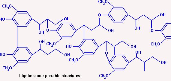 9 Figure 4. The structure of lignin Lignins contain several functional chemical groups, such as phenolic, methoxyl, carbonyl and carboxyl.