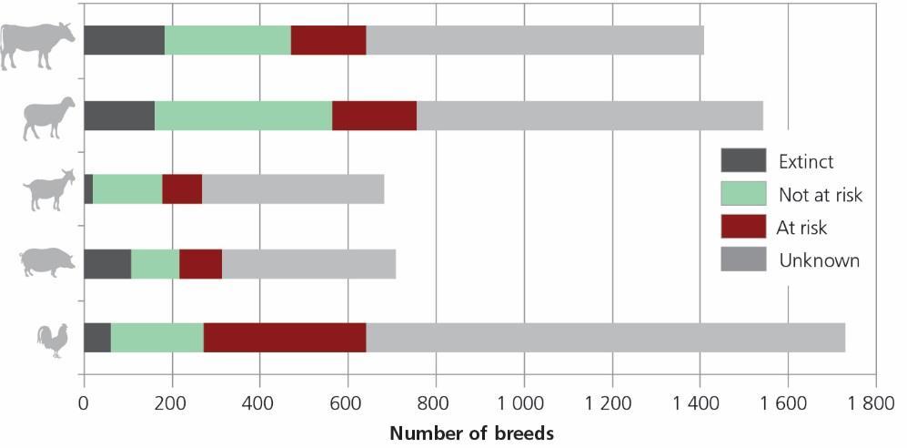 Status of the world s livestock breeds Livestock breeds