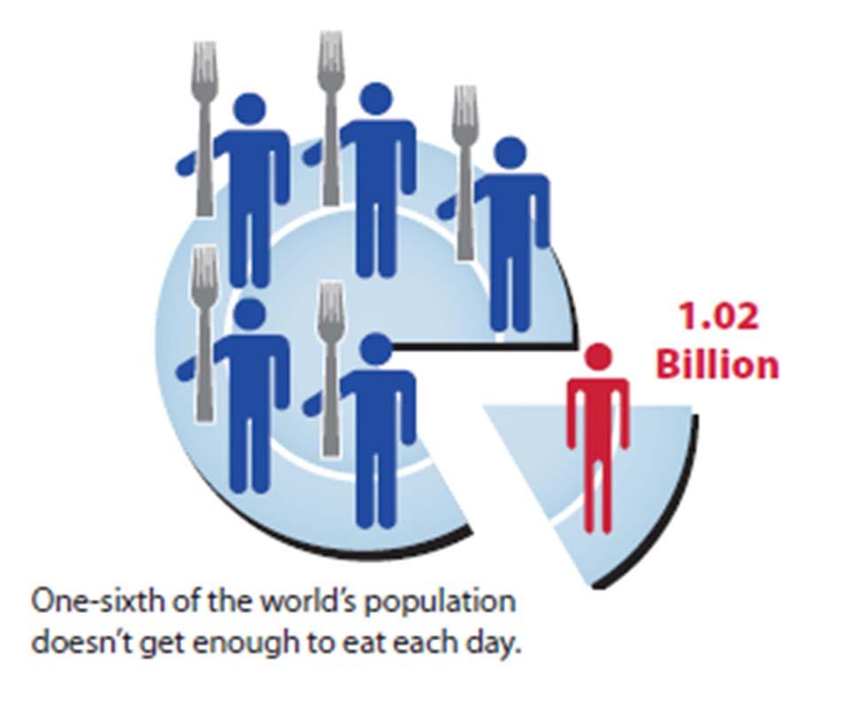The Challenge Feeding the world 1 in 6 People in the World went hungry in 2010 The