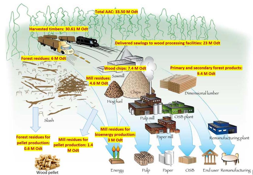 Integration of wood pellet production for coal co-firing, BC and Alberta, Canada Unharvested standing timbers: 2.9 M odt Logging residues: 5.