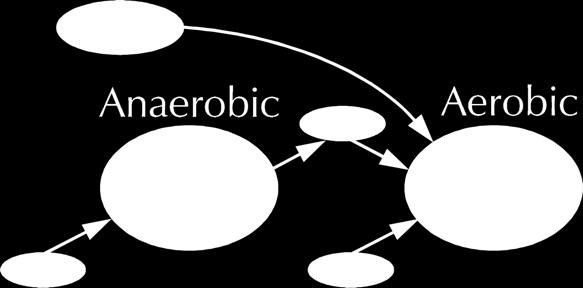 2 FUHS & CHEN (1975) Studied the Pho-strip process Suggested PAO take up P when aerobic, use that energy to take up VFA in anaerobic zone Identified PAO