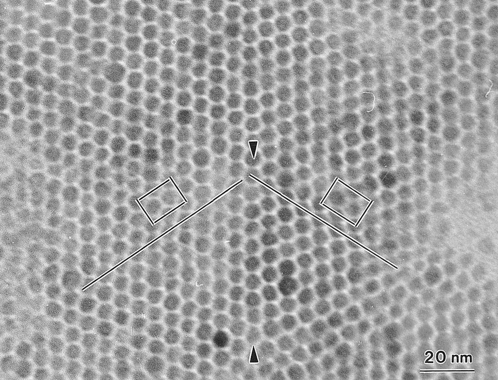 106 Z. L. Wang FIG. 5. TEM image of an fcc Ag NCS with twinned structure, where the unit cells are indicated on both sides of the twin plane. There is a slight glide parallel to the twin plane.