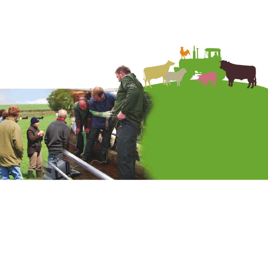 FarmSkills heifer rearing courses Calf rearing part 1: Plan and prepare for successful heifer production. Maximising calf survival rates through good management.