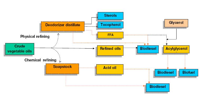 SUSTIL Bio-refinery (Biodiesel from SR)