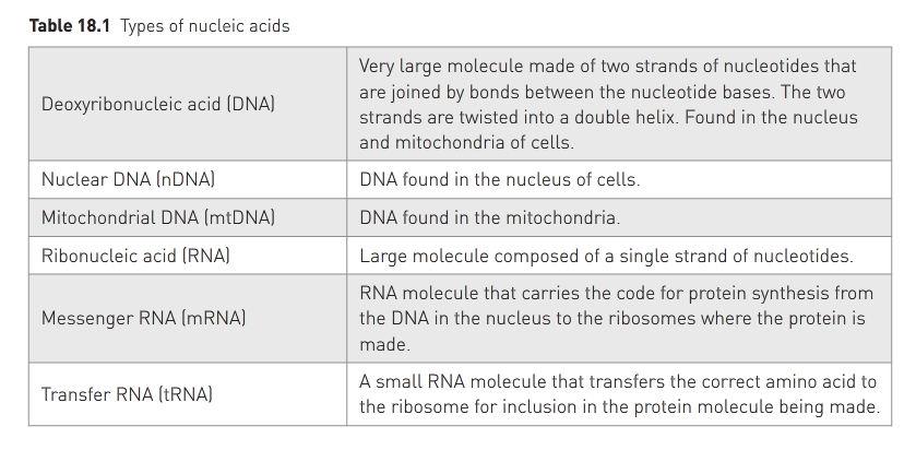 - In the nucleus the DNA is coiled around histones and remain in long strands but in the mitocondria they are in a small circular molecules not bounded to proteins.
