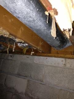 insulation damaged in need