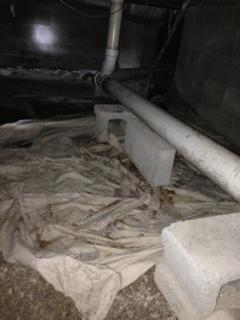 The crawl space in need of total cleaning and sanitizing prior to replacement with new vapor barrier due to sewage