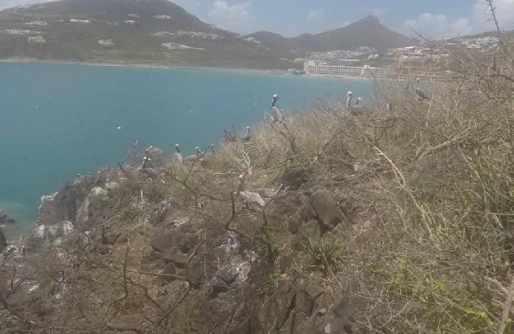 Introduction On the 6 th of September powerful category five storm Hurricane Irma struck Sint Maarten with 185 MPH winds, causing widespread damage to the island and its infrastructure.