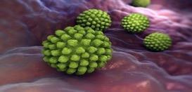 Viruses Protozoa Cholera Legionnaires' disease Salmonellosis