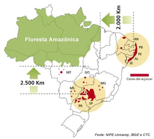 AGRIENERGY ETHANOL Sugarcane ethanol production in Brazil ACTUAL (2008/2009): Sugarcane...: 622 million ton Planted area...: 7.8 million ha Sugar...: 31.6 million ton Ethanol...: 26.