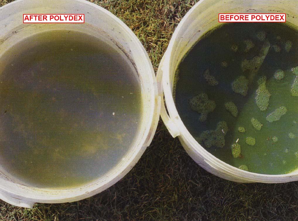 Water Treatment SIMPLE PAIL TEST Benefits = stops: algae; bacteria; viruses; snails;