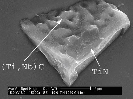 Figure 43 SEM image of a TiN particle with epitaxial (Ti,Nb)C