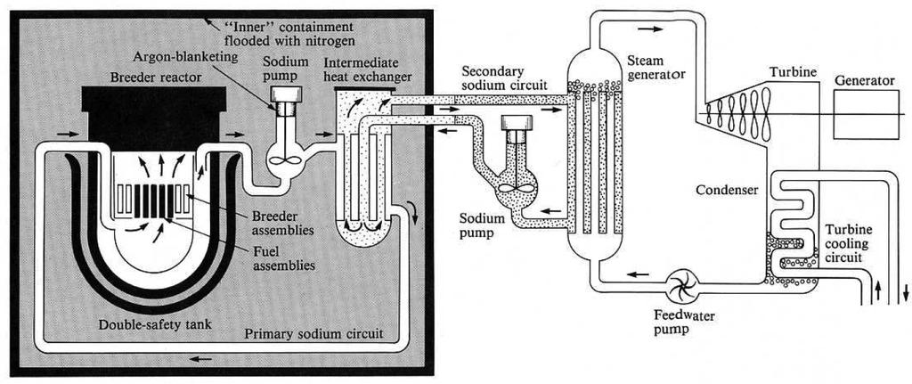 LMFBR Types Loop type Easier access to components (pumps, heat exchangers, etc.