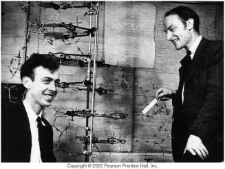 s Discovery Watson and rick Rosalind Franklin he Players rick: Ph.D. student at ambridge in England working on X-ray rystallography of