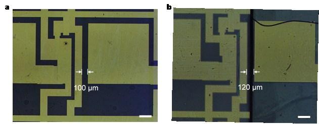 Fig. S7 Distance between transistors in zero-bezel TFT backplane. (a) Optical microscopic image of two transistors in one TFT backplane.
