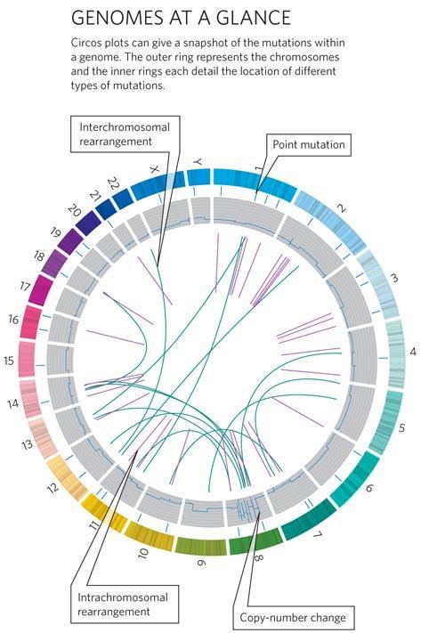 2. Understanding Associations Between Genetic Variation and Disease International Cancer Genome Consortium! includes the NIH s Cancer Genome Atlas!