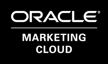 Our Oracle Marketing Cloud expert provides us with technical solutions, advice, and answers our team ultimately needs to accelerate adoption of the platform.