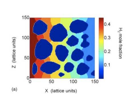 Modeling at microscale Porous anode SOFC structure: Lattice Bolzmann Method (LBM) is