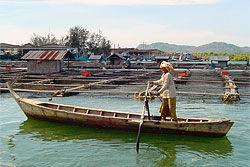 Centre, Lombok India Government nominated: Central Marine Fisheries Research Institute (CMFRI) Rajiv Gandhi Centre for Aquaculture