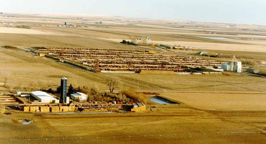 Greater concentrations of livestock in CFOs Manure management a major environmental issue Alberta has 6.