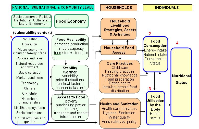 Let us start by looking at a food security conceptual framework in some detail.