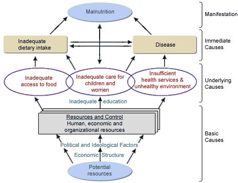 A second framework that is relevant to analyzing food security is the causality model of malnutrition, originally developed by UNICEF in 1990. This model has many similarities to the FIVIMS framework.