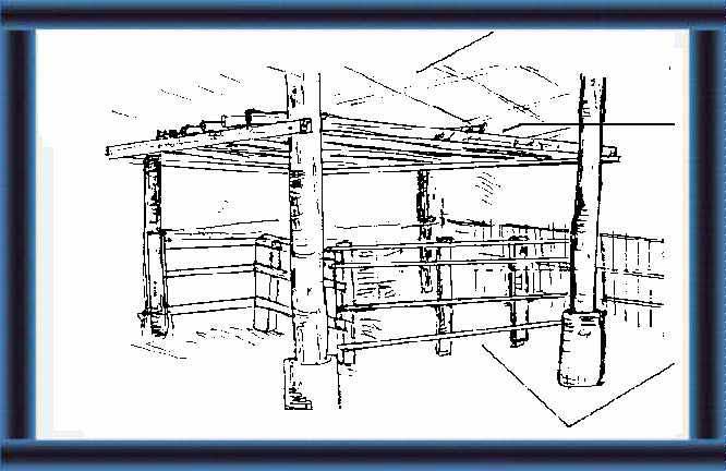 Small-scale dairy farming manual - Vol. 3 - pp. 115-140 72 You can store hay under the roof of the cow shed and above the housing area for calves.