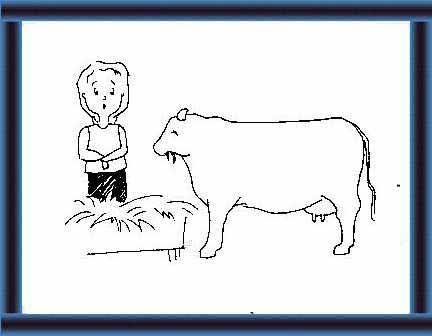 water - how often you feed your animals 58 - the type and