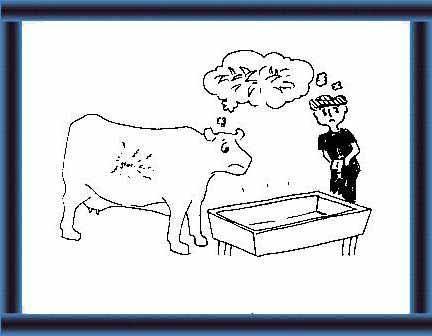 Small-scale dairy farming manual - Vol. 3 - pp.
