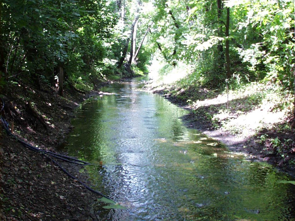 Ramsey Washington Judicial Ditch 1 Nutrient and Aeration Study Photo of