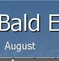 for Bald Eagle Lake are