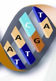ZFN, Talens or Crispr Cas-9 can be programmed to