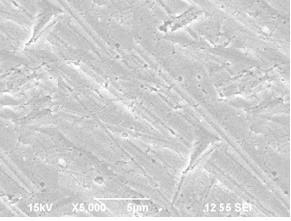 (c) Figure 1: SEM Images for Electrodeposited Fe-Ni-Co thin films for different concentration of Ferrous Sulphate (a) 10 g/l (b) 20 g/l (c) 30 g/l 3.