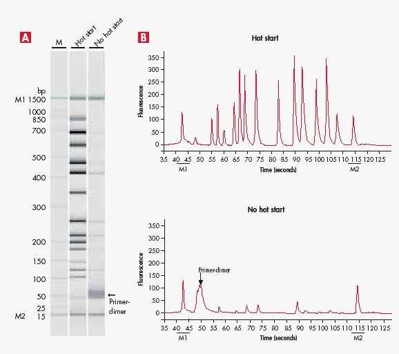Effect of Hot Start on Multiplex PCR